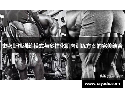 史密斯机训练模式与多样化肌肉训练方案的完美结合