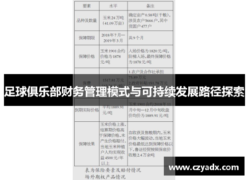 足球俱乐部财务管理模式与可持续发展路径探索