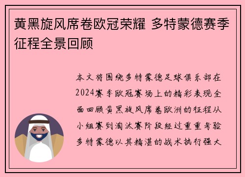 黄黑旋风席卷欧冠荣耀 多特蒙德赛季征程全景回顾