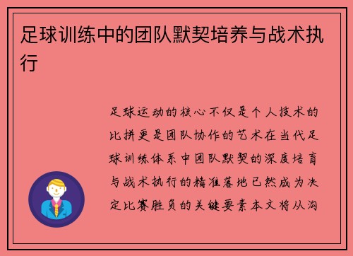 足球训练中的团队默契培养与战术执行